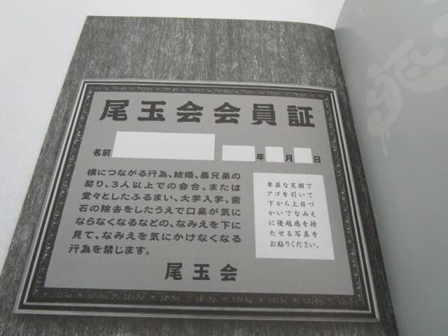 Amazon.co.jp: 尾玉なみえ 小冊子 焼殺死 非売品 稀少 ワンオーナー品